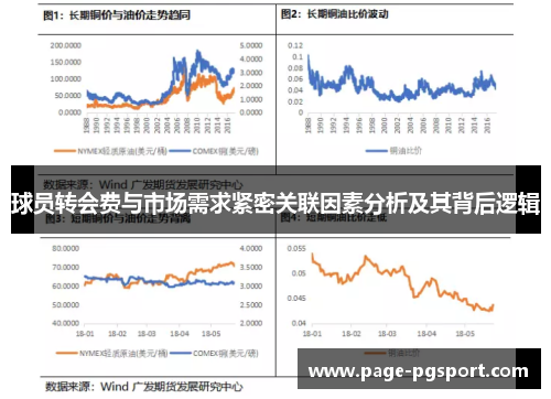 球员转会费与市场需求紧密关联因素分析及其背后逻辑