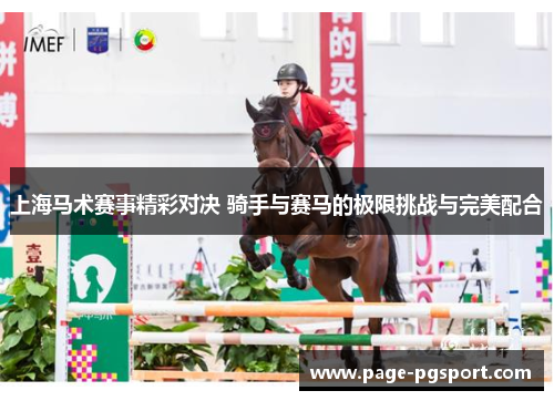 上海马术赛事精彩对决 骑手与赛马的极限挑战与完美配合