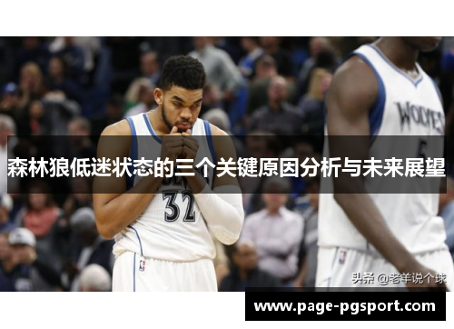 森林狼低迷状态的三个关键原因分析与未来展望