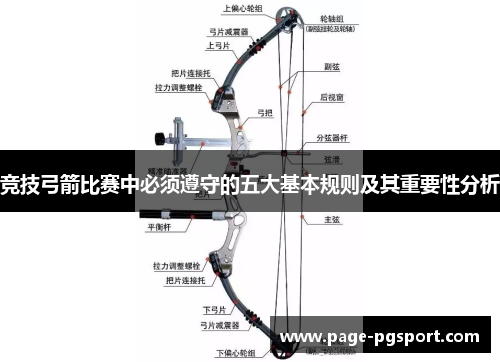 竞技弓箭比赛中必须遵守的五大基本规则及其重要性分析