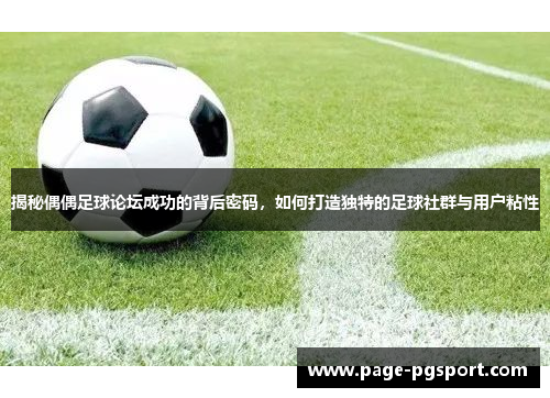 揭秘偶偶足球论坛成功的背后密码，如何打造独特的足球社群与用户粘性