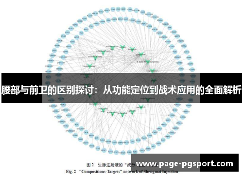 腰部与前卫的区别探讨：从功能定位到战术应用的全面解析