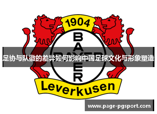 足协与队徽的差异如何影响中国足球文化与形象塑造