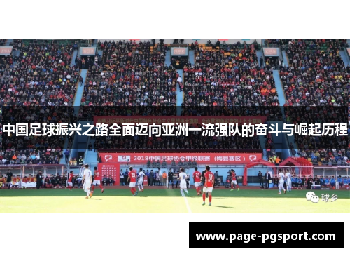 中国足球振兴之路全面迈向亚洲一流强队的奋斗与崛起历程