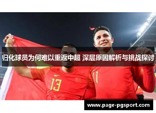 归化球员为何难以重返中超 深层原因解析与挑战探讨