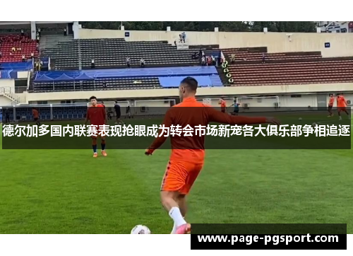 德尔加多国内联赛表现抢眼成为转会市场新宠各大俱乐部争相追逐