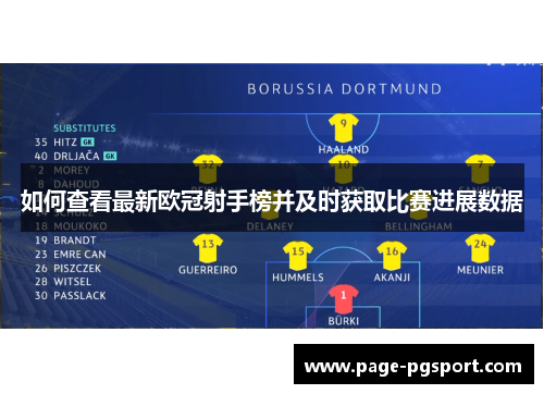 如何查看最新欧冠射手榜并及时获取比赛进展数据