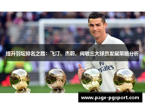 提升羽坛排名之路：飞汀、杰蔚、阀敏三大球员发展策略分析