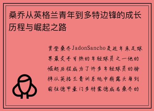 桑乔从英格兰青年到多特边锋的成长历程与崛起之路