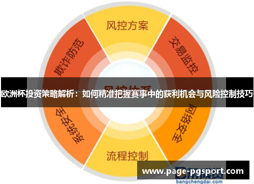 欧洲杯投资策略解析：如何精准把握赛事中的获利机会与风险控制技巧