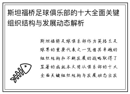 斯坦福桥足球俱乐部的十大全面关键组织结构与发展动态解析
